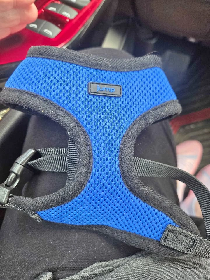 XS Dog harness