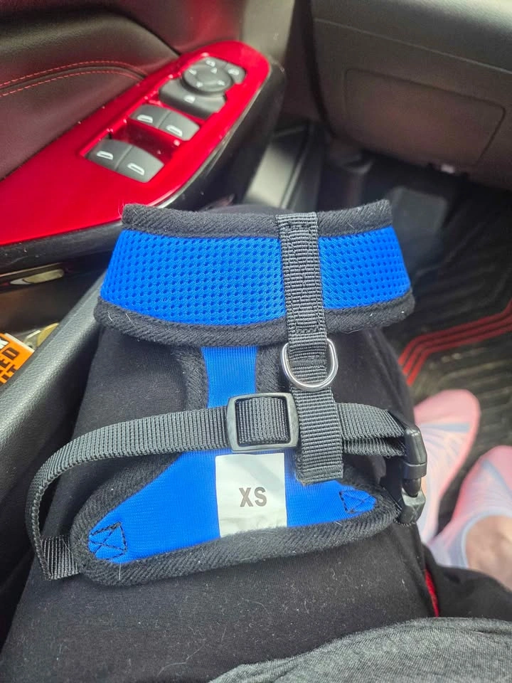 XS Dog harness - photo 2
