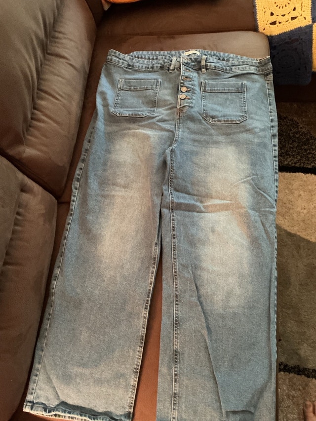Dex Plus Size Denim Jeans