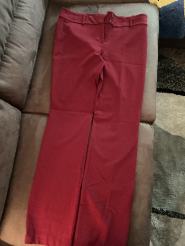 Ann Taylor Modern Pants