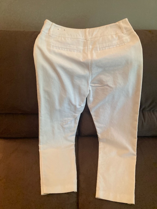 Style & Co. Pants