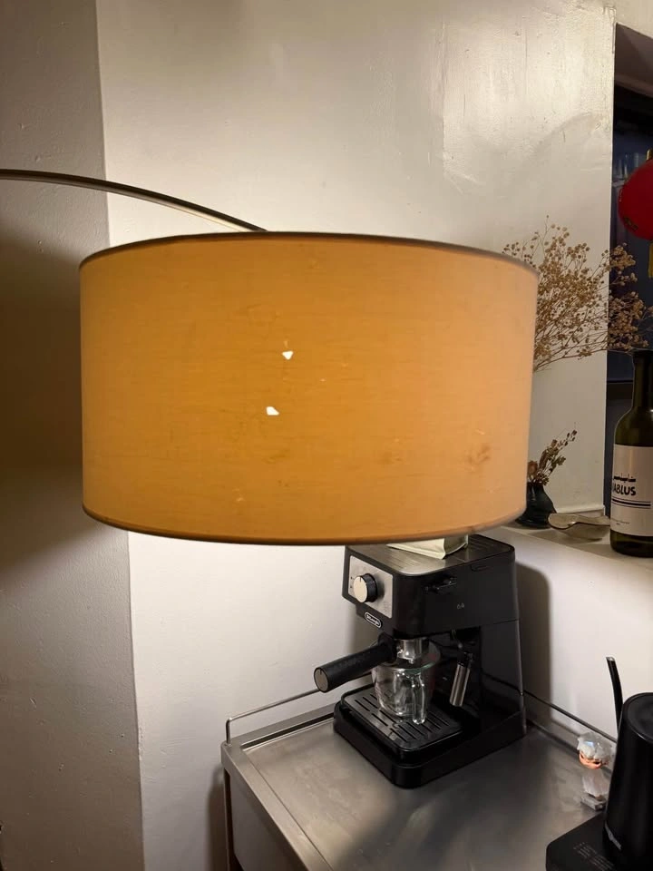 Arch Floor Lamp - photo 4