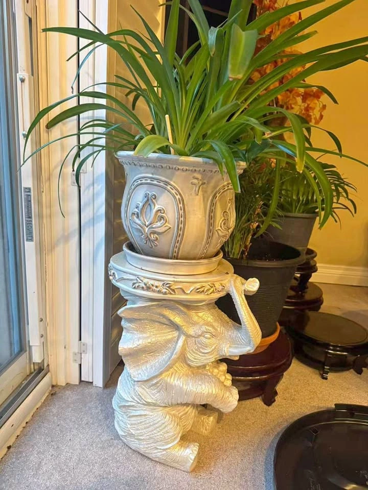 Plant