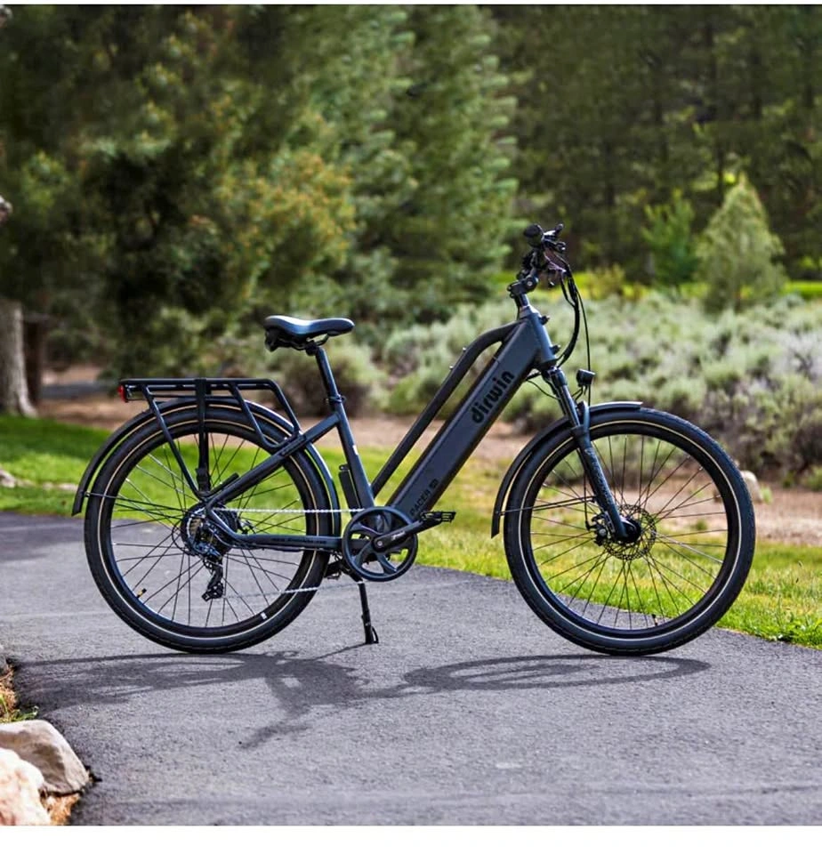 Dirwin Pacer Lite Electric Bike