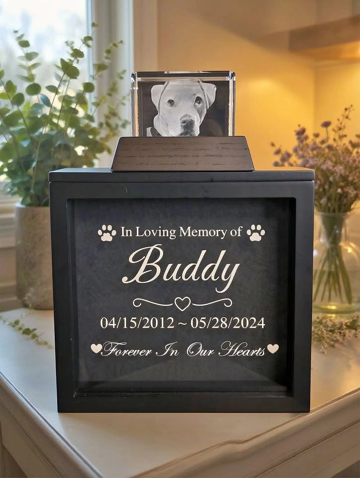 Pet Memorial Urn & 3D Crystal Rectangle Set
