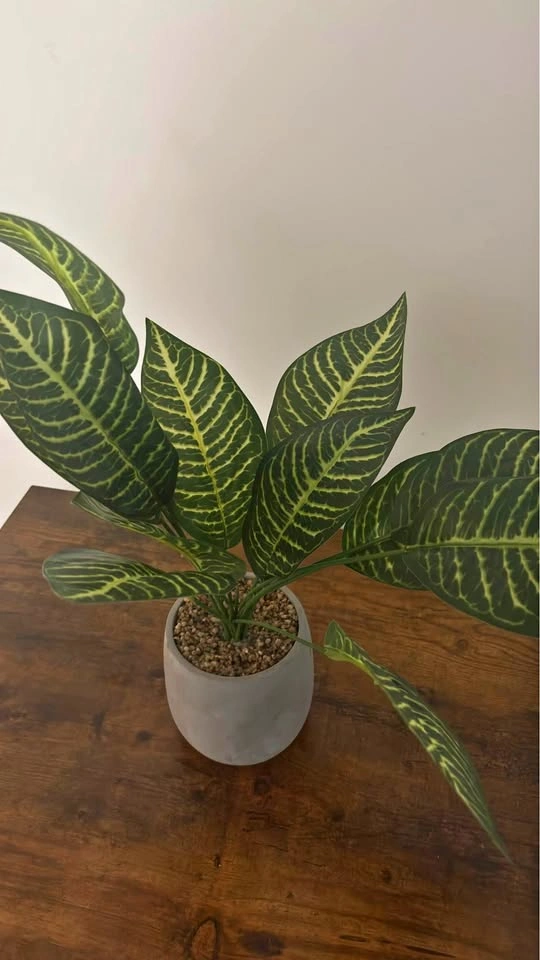 Fake plant