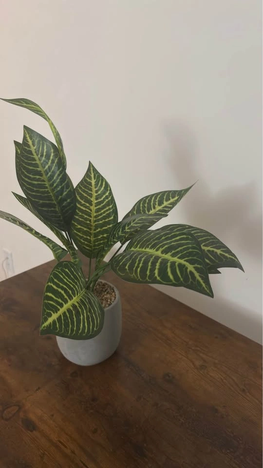 Fake plant - photo 2