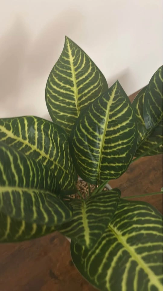 Fake plant - photo 3