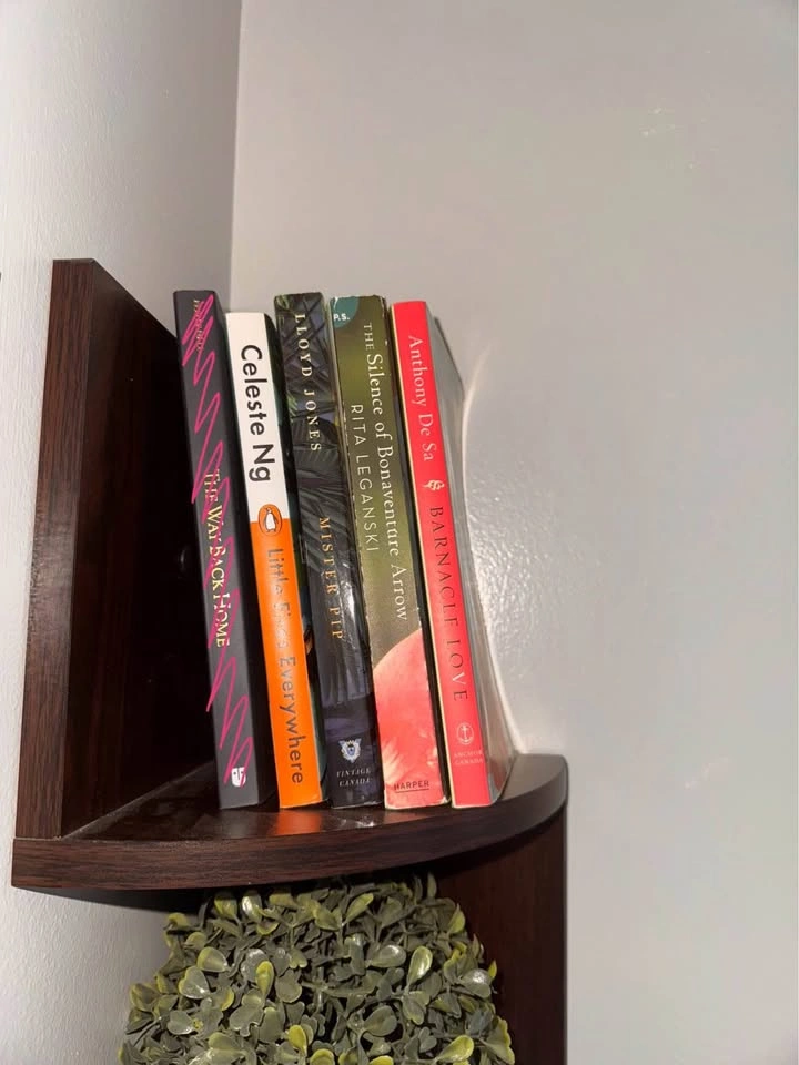 HUGE BOOK HAUL - photo 5