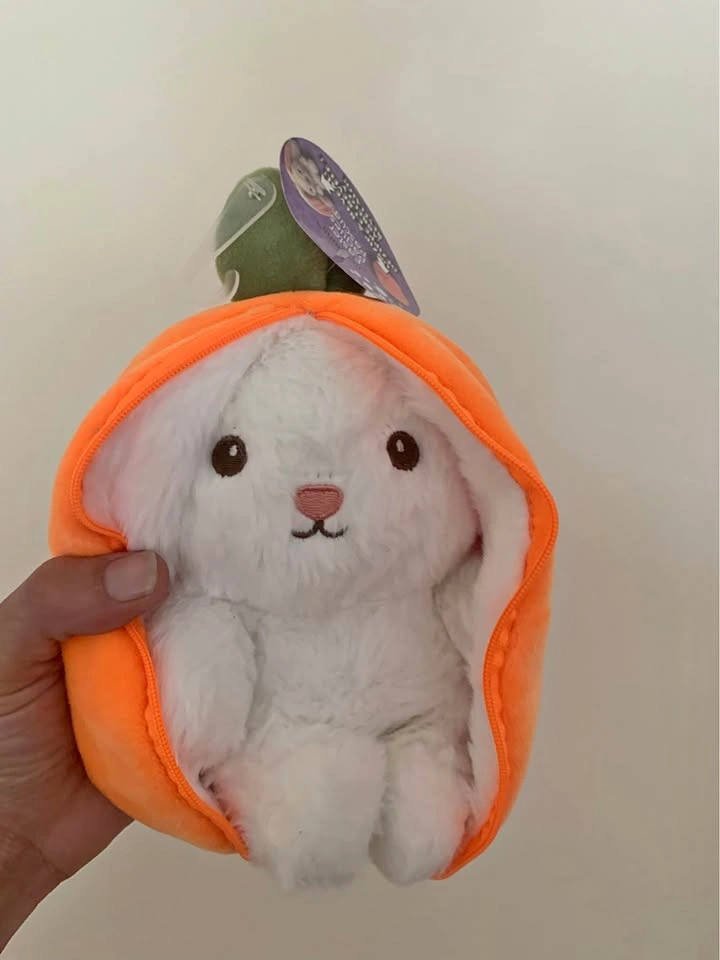 Rabbit Carrot Plush