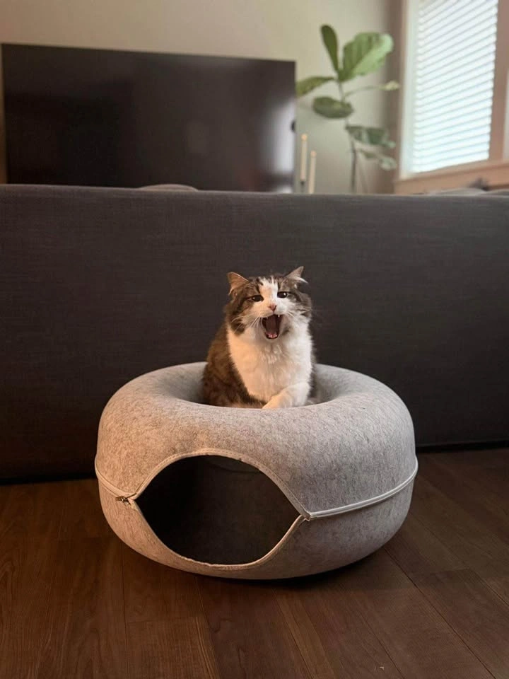 Gray Felt Donut Pet Bed Cat Cave - photo 2
