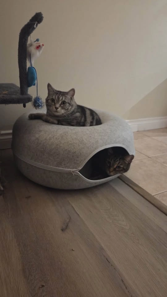 Gray Felt Donut Pet Bed Cat Cave - photo 4