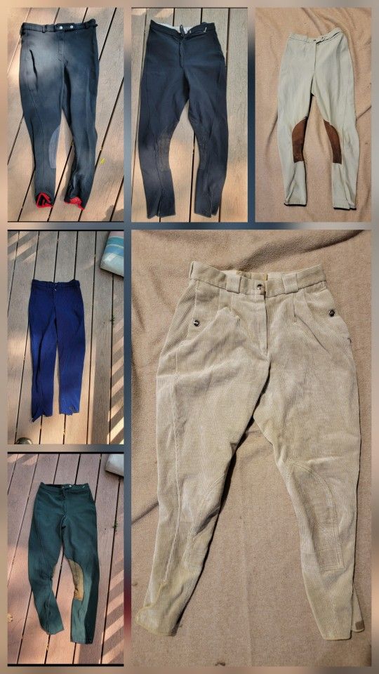 Riding Pants Equestrian