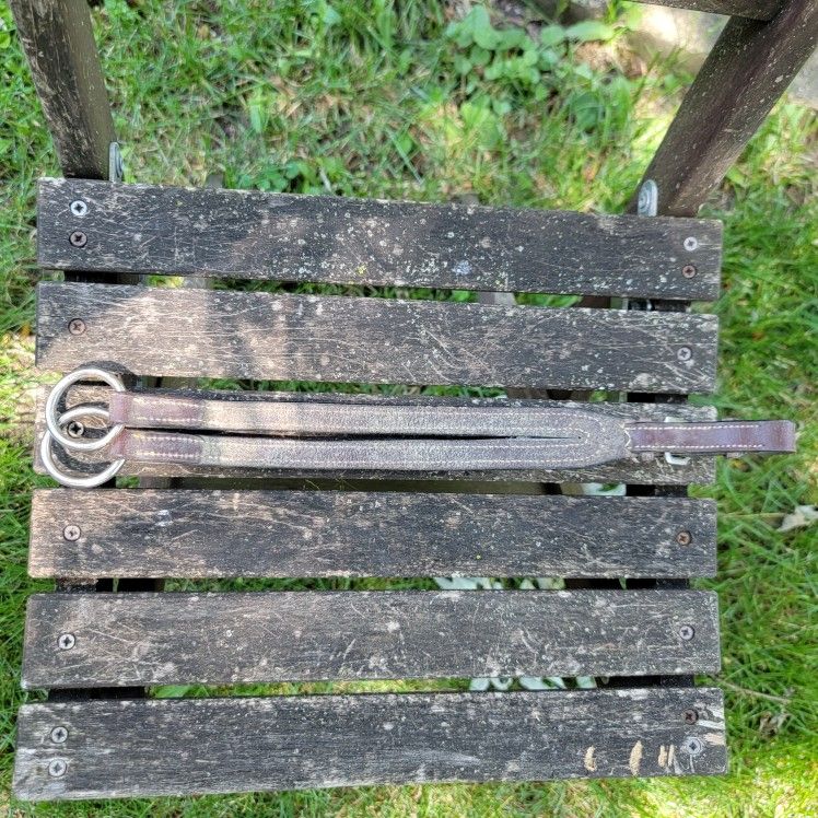 Training Fork Martingale - photo 2