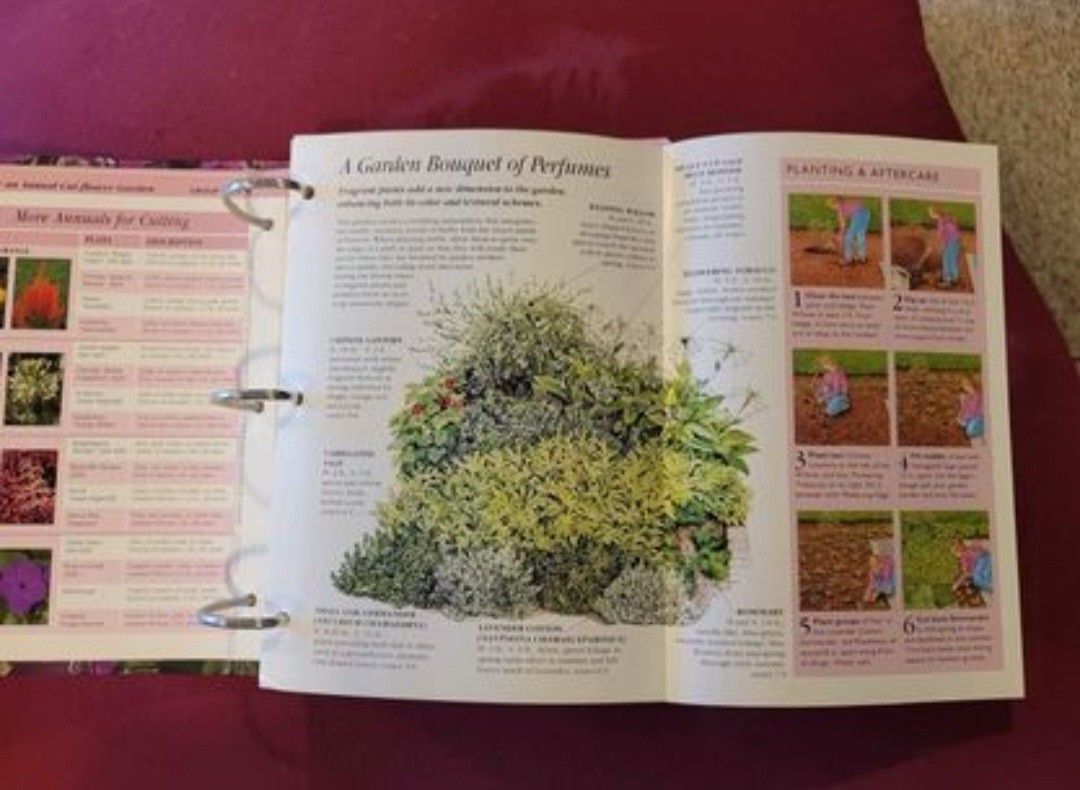 Gardening Made Easy Books - photo 3