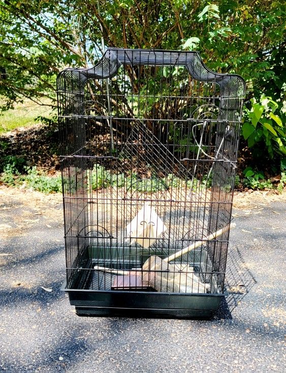 Bird Cage