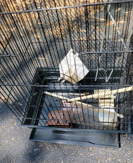 Bird Cage - photo 3