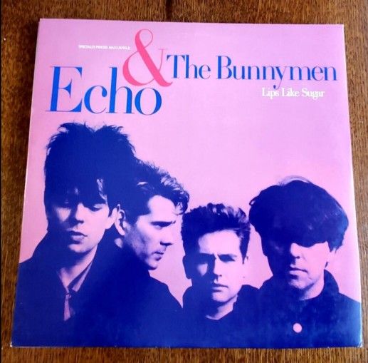 Echo & The Bunnymen Album LP Vinyl