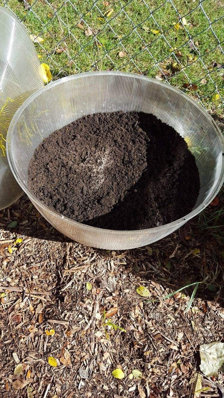 Unique Flower Pot Domes Cloches Wintersowing Raised Flower Bed - photo 2