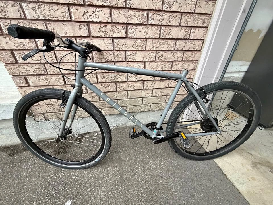 Fairdale Flyer Steel Bike