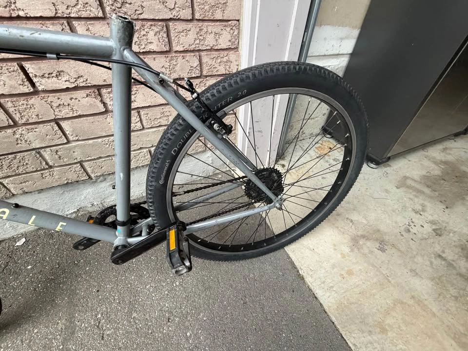 Fairdale Flyer Steel Bike - photo 3