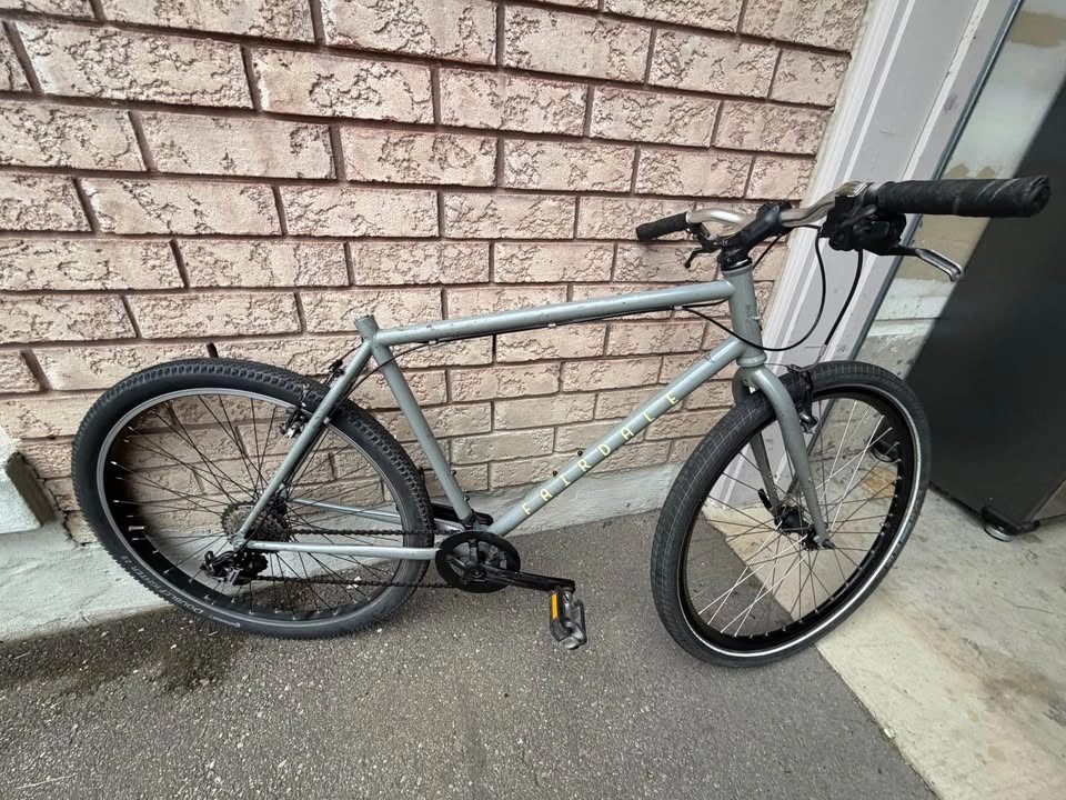 Fairdale Flyer Steel Bike - photo 4