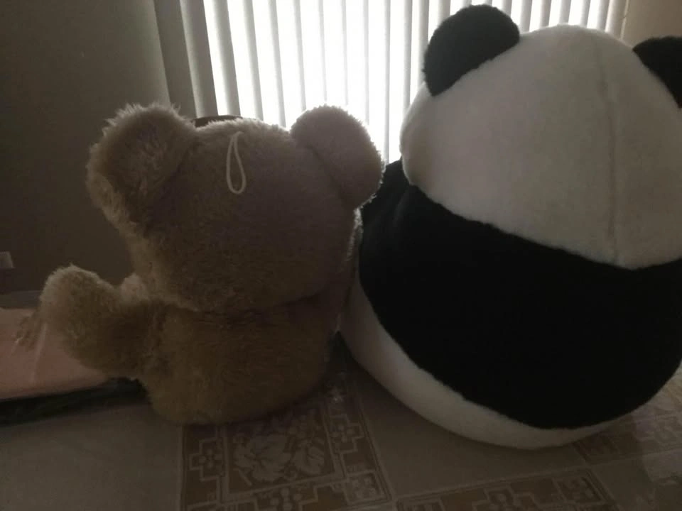 Stuff Animals - photo 2