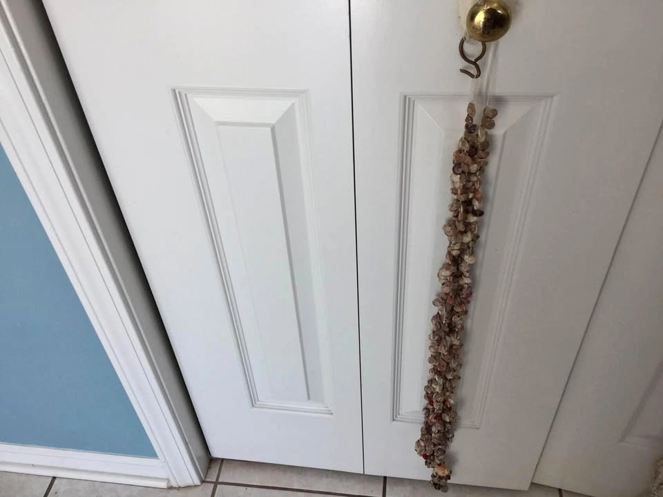 Sea Shell Plant Hanger