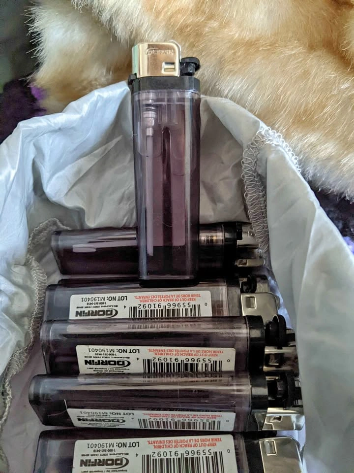 Dorfin Disposable Lighters_ qty 8
