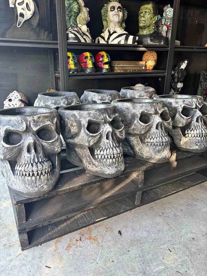 SKULL PLANTER(s)