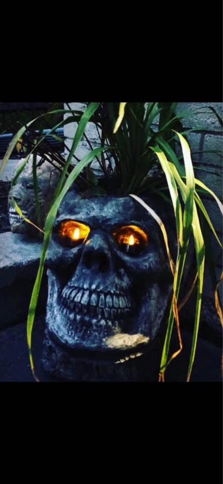 SKULL PLANTER(s) - photo 2