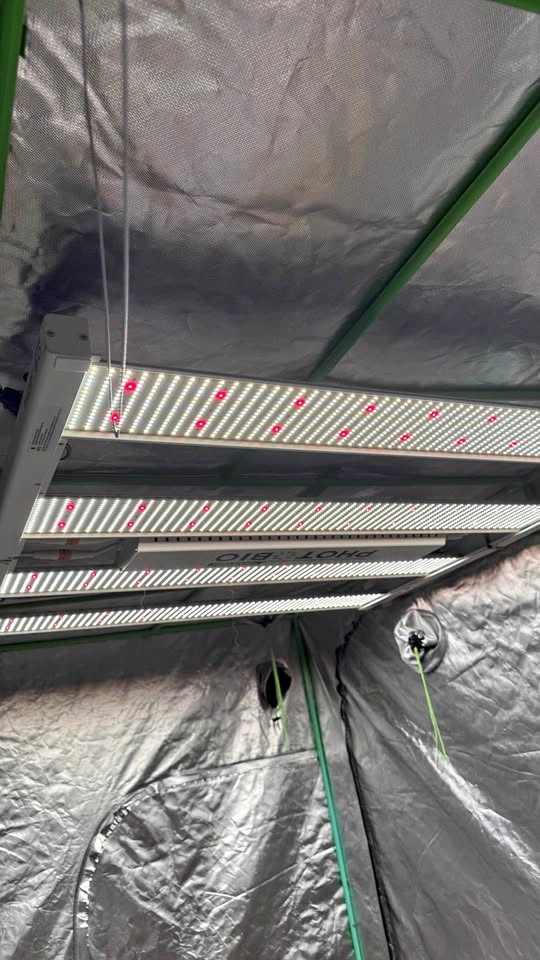 Professional Grow Light LED Lamp - Phantom PHOTOBIO MX 680W