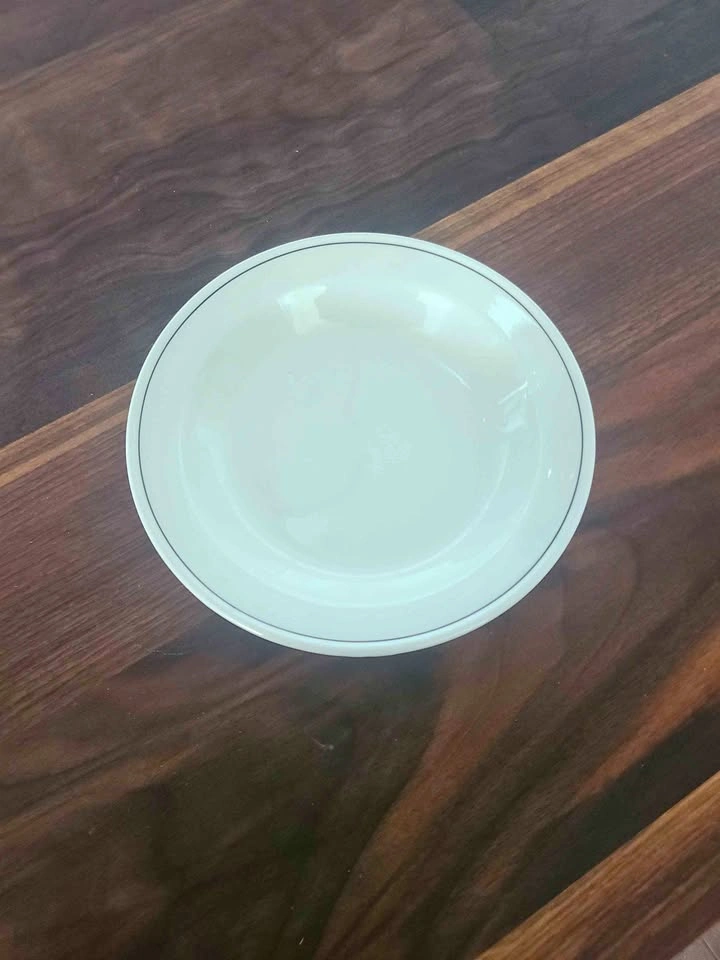 Vintage Steelite White Plates with Black Rim - 20 Pieces