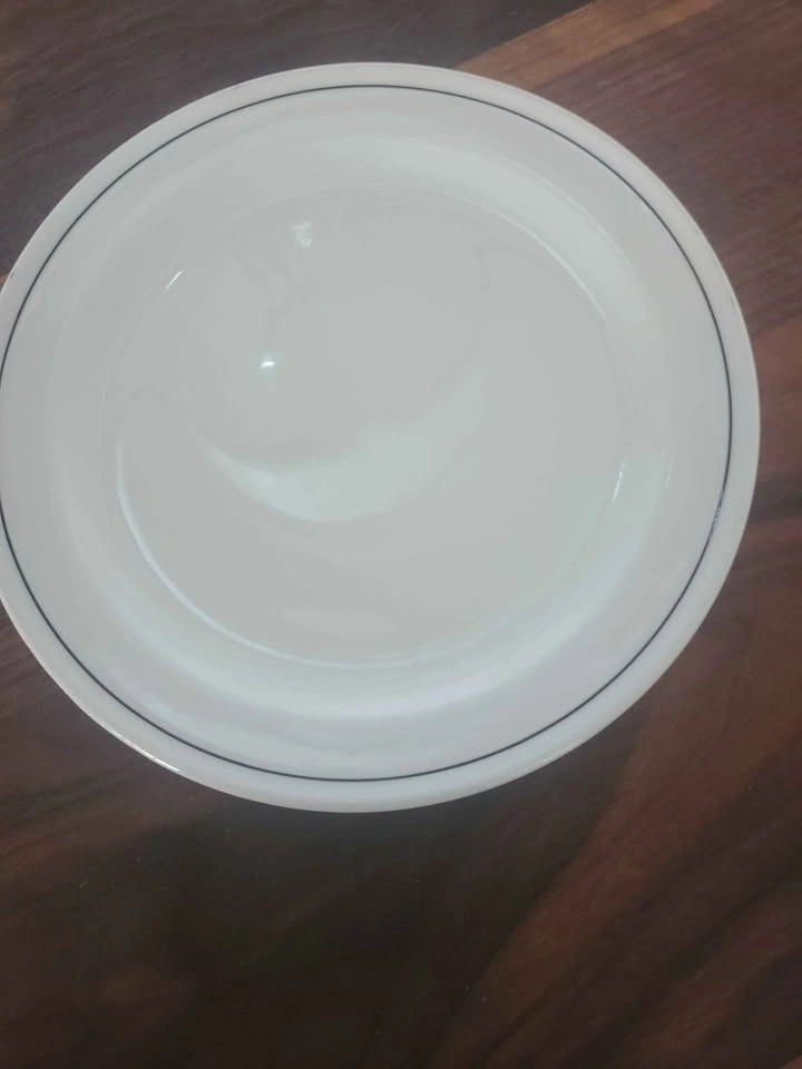 Vintage Steelite White Plates with Black Rim - 20 Pieces - photo 2