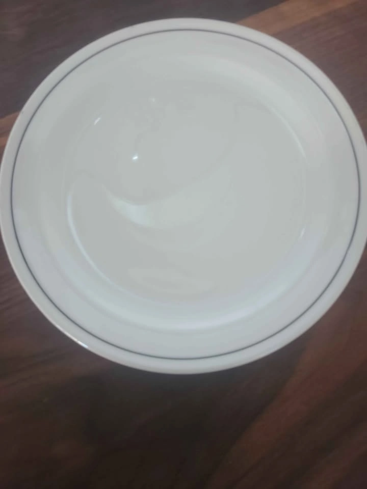 Vintage Steelite White Plates with Black Rim - 20 Pieces - photo 5