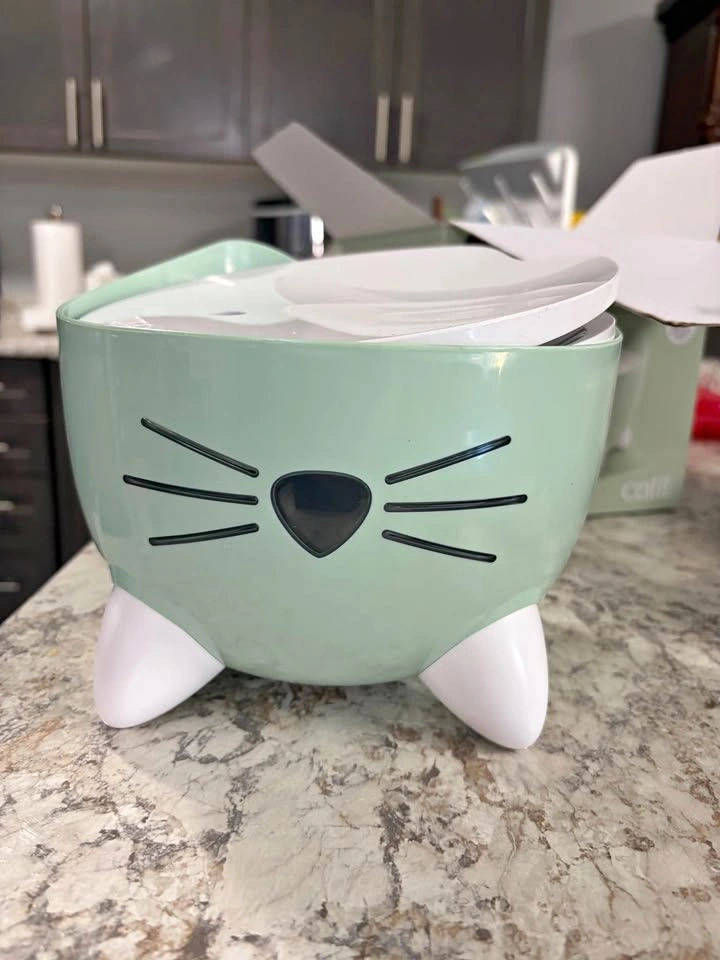 Cat Drinking Fountain