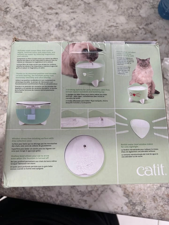 Cat Drinking Fountain - photo 3