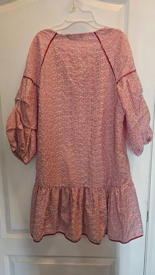Zara Red Stripe Mini Poplin Dress - Smal - photo 5