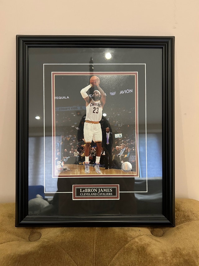 LeBron James Framed Plaque Memorabilia