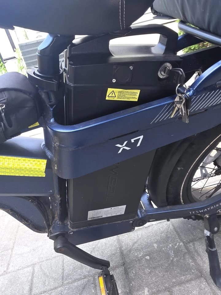 TESWAY X7 AWD 3600 Dual Motor - photo 5