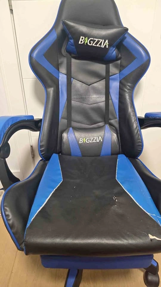Biggzzia Gaming Chair