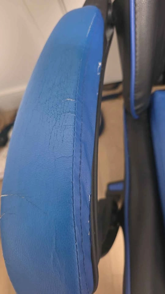 Biggzzia Gaming Chair - photo 4