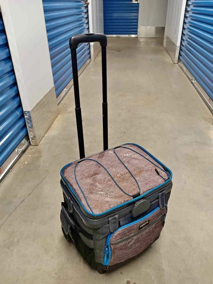 Small Igloo MaxCold Rolling Cooler