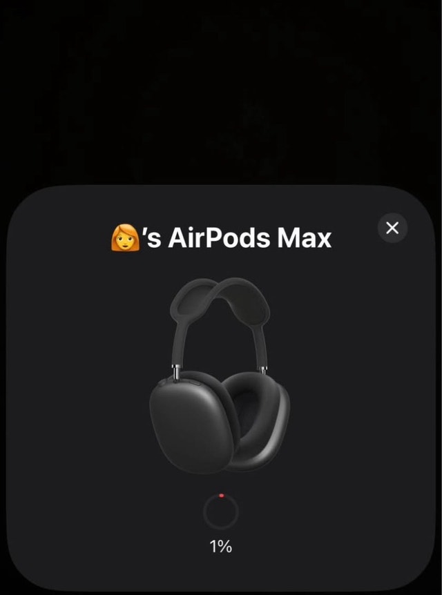 Airpods Max - photo 4