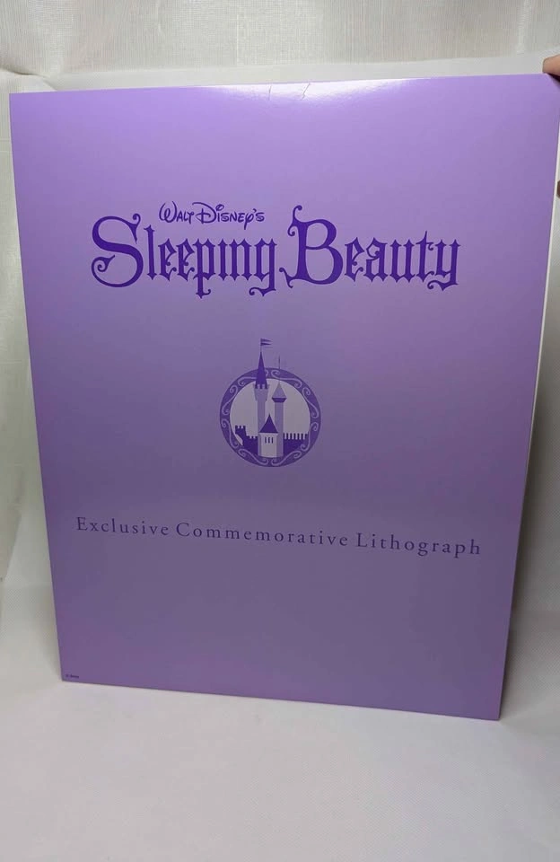 Exclusive Disney Store Sleeping Beauty Lithograph 1995 Vintage - photo 3