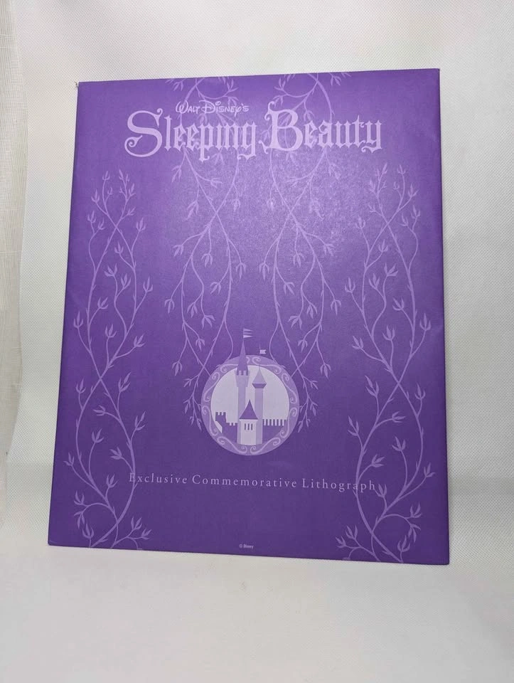 Exclusive Disney Store Sleeping Beauty Lithograph 1995 Vintage - photo 4