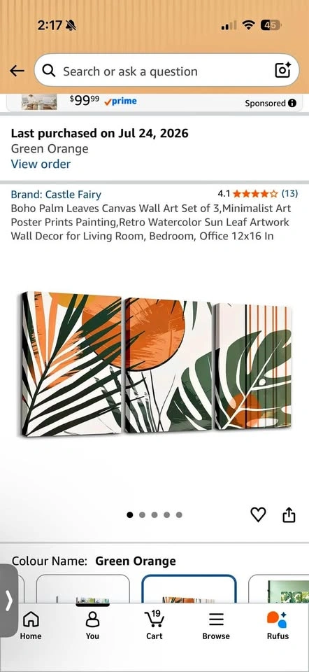 Boho Palm Canvas frames