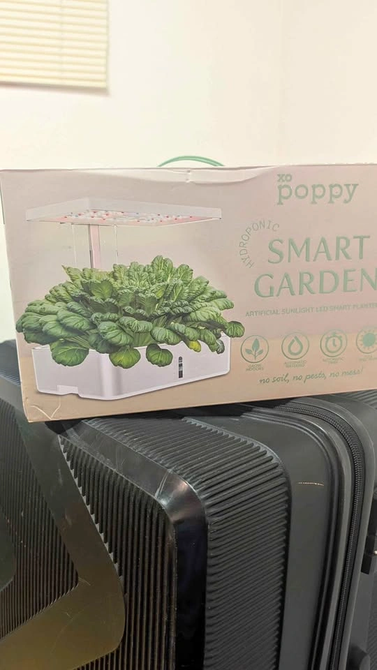 Complete Smart Garden Starter Kit + Extra Seeds & Sponges