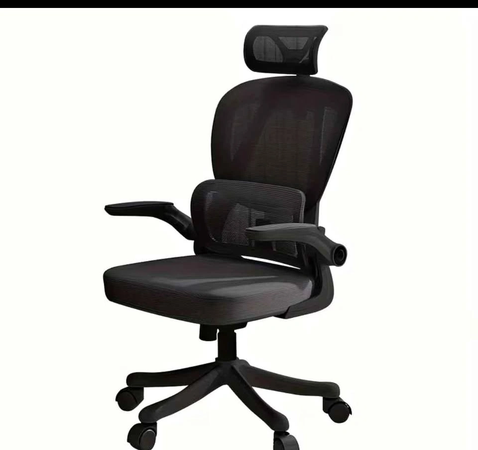 Brand new in box Ergonomic office chair. Never used
