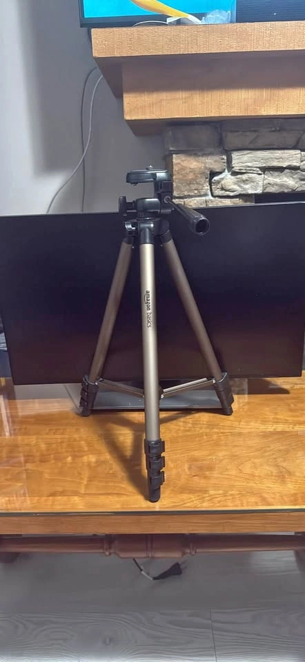 Amazon basics tripod and carry case